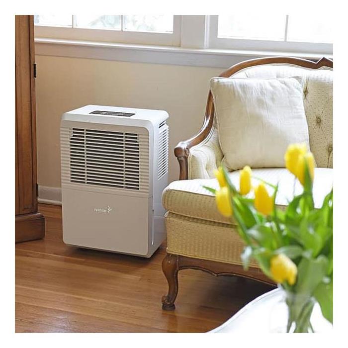 Eliminate excess moisture with dehumidifiers
